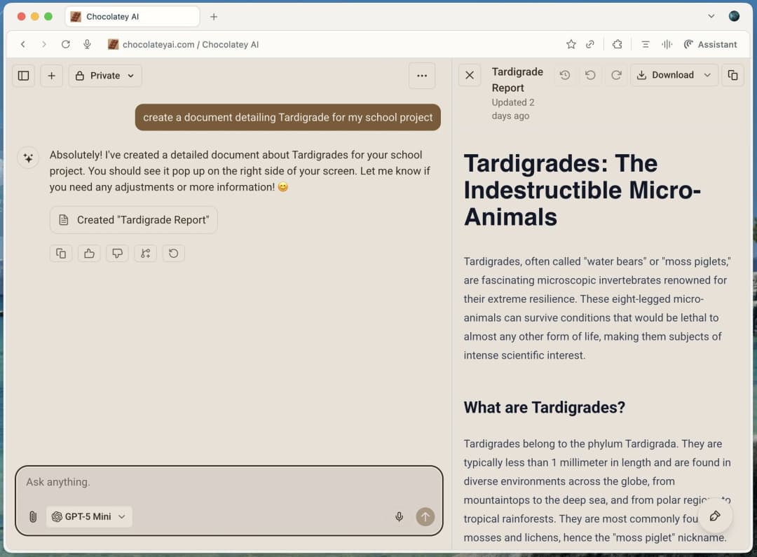 Document creation showcase